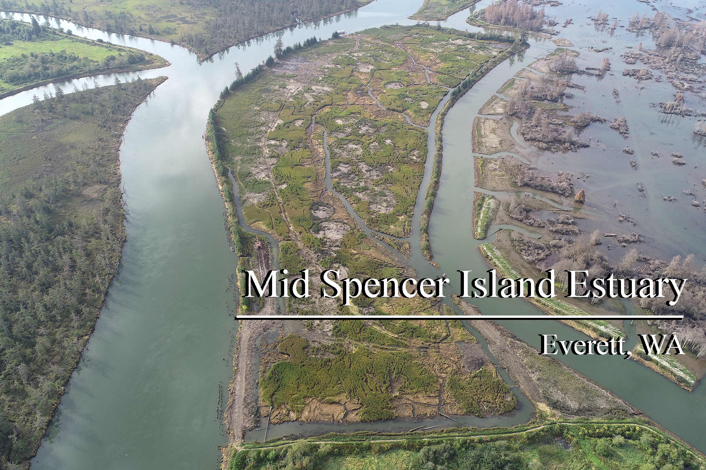 Mid Spencer Island Estuary, Everett, WA